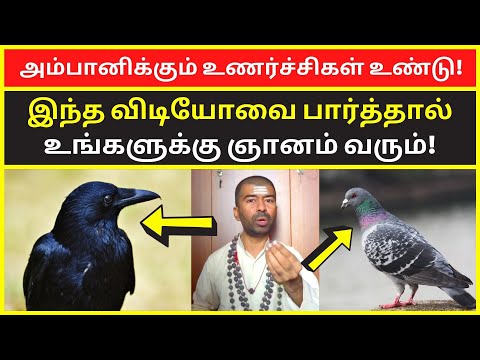 அம்பானிக்கும் உணர்ச்சிகள் உண்டு | omgodnagarajan motivational speech  Spiritual