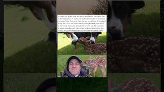 A Man Rescues an Injured Fawn #AnimalRescue #Fawn #viralvideo #shorts