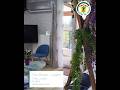 video 1rbY8zXAZNA
