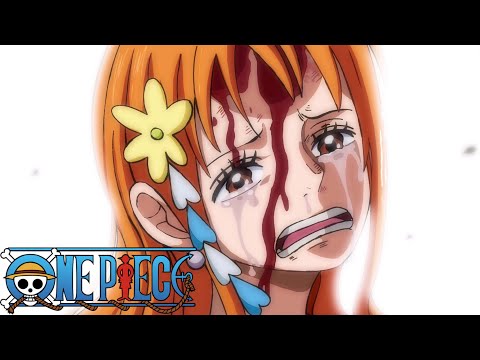 Nami says Luffy will become Pirate King | One Piece - Episode 1008