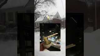 カナダ都市選びの参考に😂#カナダ天気#カナダ生活