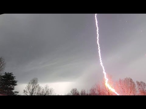 Stati Uniti, un lampo rosso all'improvviso: il fulmine che colpisce l'albero fa paura