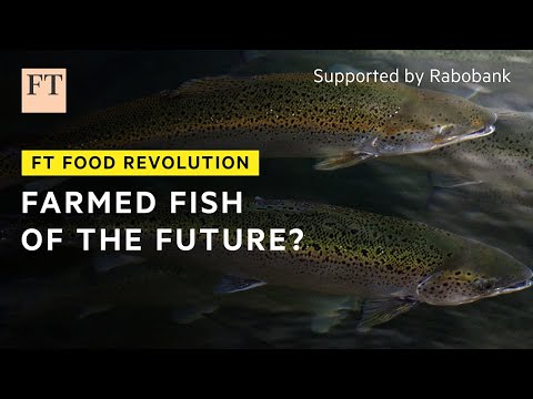 A better way to farm fish? | FT Food Revolution