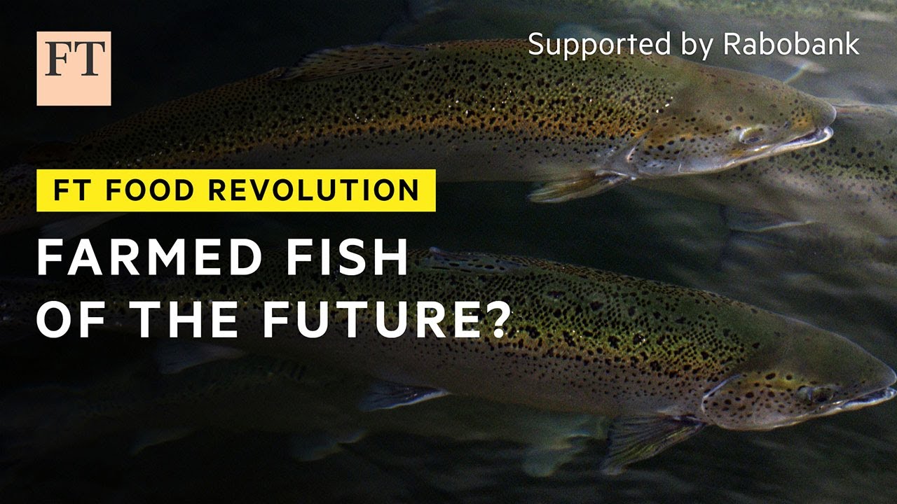 A better way to farm fish? | FT Food Revolution