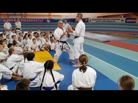 Традиционное карате TKI (WTKF). Технический семинар Нельсона Карриона