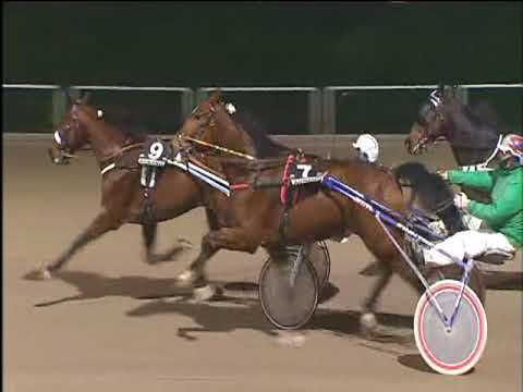 Trotto 15/12/2017 - 6ª corsa