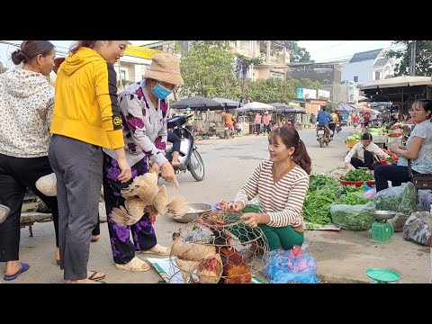 Go to the market selling broilers, eggs and peanuts.  To buy livestock equipment.  (Episode 93).