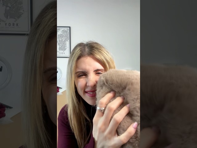 Vídeo relacionado con PQKL-party Zelda Gorro de Punto Zelda Beanie Unisex, Gorro de Esquí Bordado, Gorro de Invierno, para Niños Niñas Adolescentes Regalos para Fanáticos