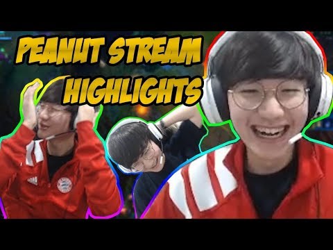 Peanut stream -  Funny Moments