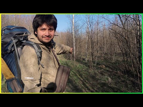 ОДИНОЧНЫЙ ПОХОД ДИВАННОГО ТУРИСТА - Леса под Тарусой