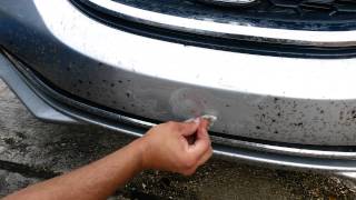 best & easy way to clean & remove dead bug from your car front bumper