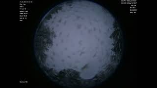 2026-02-21 All sky camera capture from Poiana Rusca Mountains, Romania