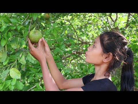 My Natural Food: Finding food meet natural sweet lemon fruit for eating delicious #4 Video