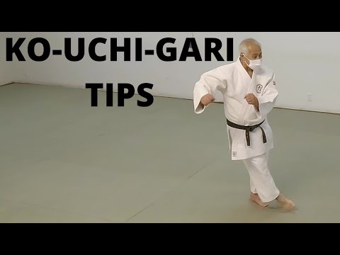 Ko-Uchi-Gari Tips | Riki Judo Dojo — judo technique demonstration