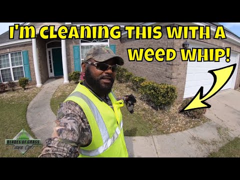 download lagu mp3 mp4 Weeds With Long White Roots, download lagu Weeds With Long White Roots gratis, unduh video klip Weeds With Long White Roots