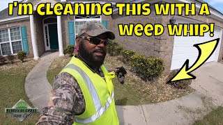 How I clean a weed infested rock plant bed with a weed whip