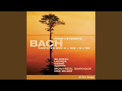 J.S. Bach: Es ist das Heil uns kommen her, BWV 9: III. Wir waren schon zu tief gesunken