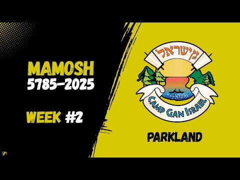 Week 2