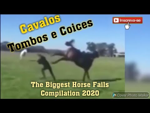 MAIORES TOMBOS E COICES DE CAVALO 2020! (THE BIGGEST HORSE FAILS 2020!)