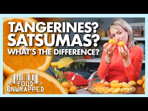 Is There Any Difference Between Orange Types? | Food Unwrapped