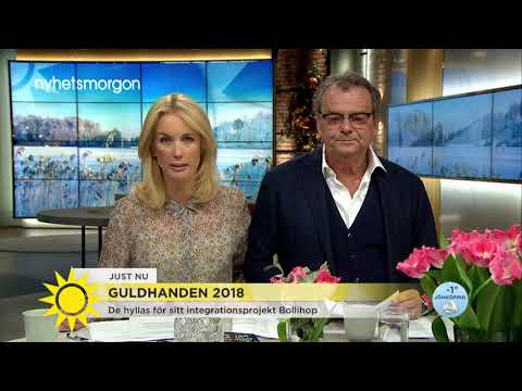 Pileby - Nyhetsmorgon (TV4)