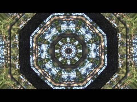 Dream Catcher by The Muses Rapt