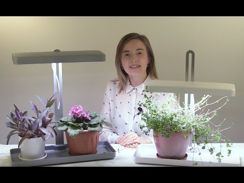 Миниатюра изображения товара Светильник для растений ЭРА FITO-20W-QLED-G / Б0039035