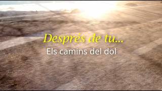 Després de tu...els camins del dol