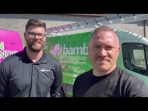 Exciting News! Bamboo and Green Grounds Lawn & Pest Join Forces!