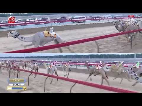 ش 5 كأس إنتاج (همس) سعادة محمد سلطان مرخان الكتبي 7:14:86 ، ختامي المرموم 2026/03/24 لقايا