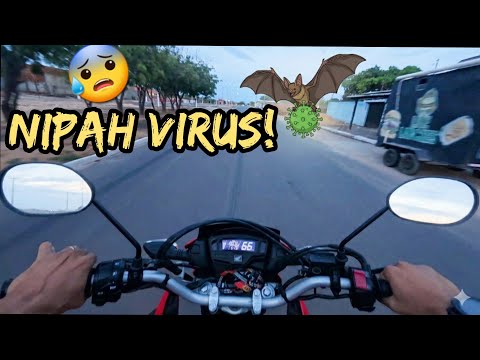 MOTOVLOG EM PARNAÍBA PIAUÍ E VAMOS FALAR SOBRE O VÍRUS NIPAH.
