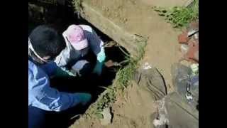 preview picture of video 'TACUBA exhumación'