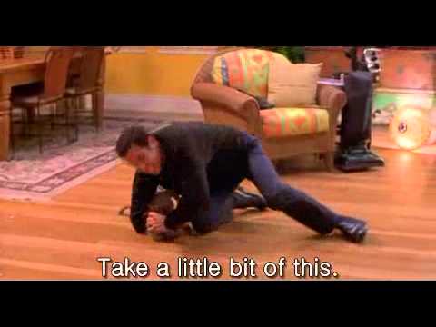 Theres Something About Mary 1998 Dog Scene