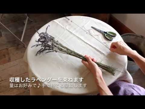 装飾的なラベンダーバッグを自分で縫う 植物