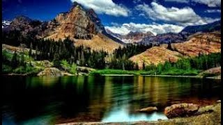 VITAMINAS  - CARACTERÍSTICAS -CLASIFICACIÓN - VITAMINAS LIPOSOLUBLES - VITAMINAS HIDROSOLUBLES