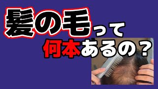 開始(マイクをASMR仕様にしました) - 【検証ASMR】髪の毛って何本あるの?Counting Hair 後編【にじさんじフミ】