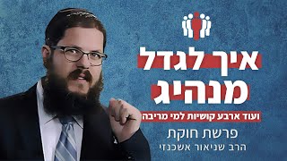 הרב שניאור אשכנזי - פרשת חוקת • איך מגדלים מנהיגים? ועוד ארבע קושיות למי מריבה