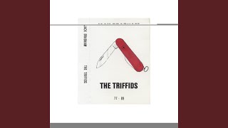 Spinning Top Song (Live at RMIT Storey Hall &#39;89)