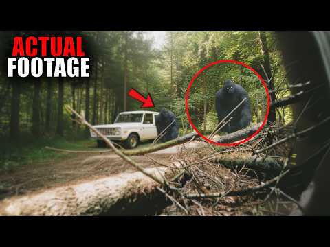 The Most Incredible Bigfoot Footage Ever Recorded!