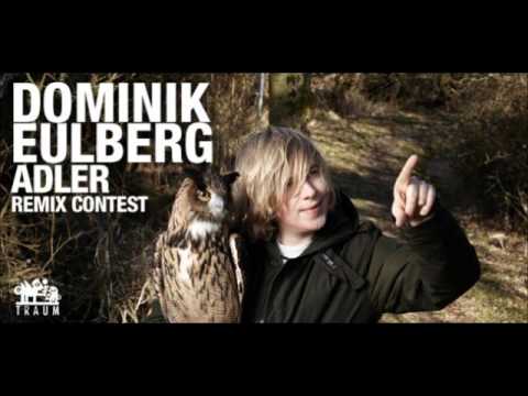 dominik eulberg   adler( goov with groove birds rmx)