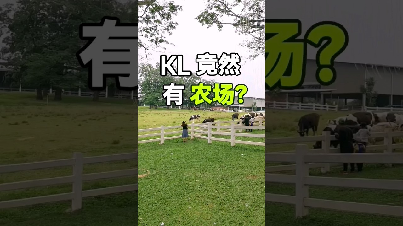 KL 竟然有农村 ❓❗#吉隆坡 #旅游推荐 #farmfresh