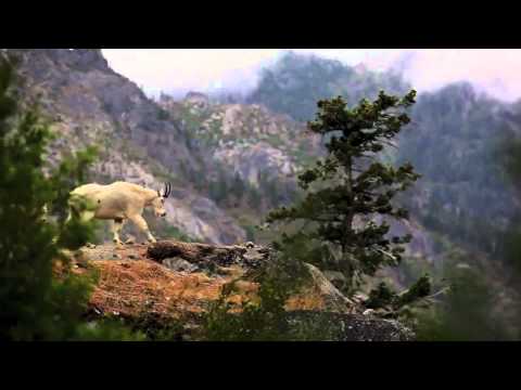 Jamie Potter - Film and Television composer