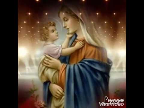 Mãe admirável. Ó Mãe peregrina.