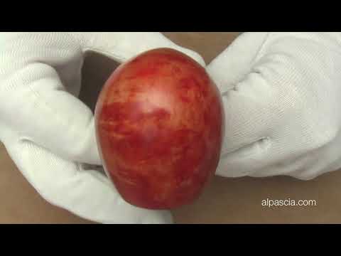 Pipa Peterson DARWIN NATURAL DE LUXE SYSTEM B42 - smoking pipes 1770