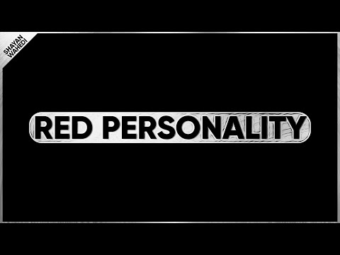 Red Personality | the 4 DISC Personality Types | Shayan Wahedi 🔥