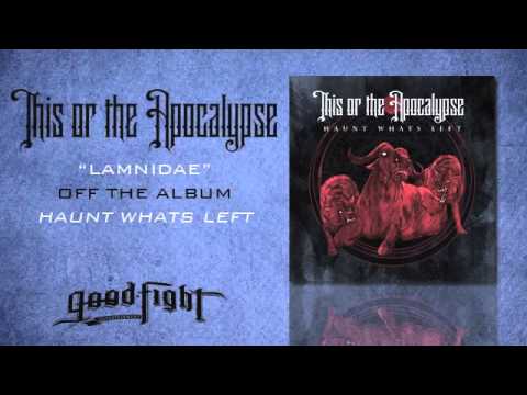 This Or The Apocalypse "Lamnidae"