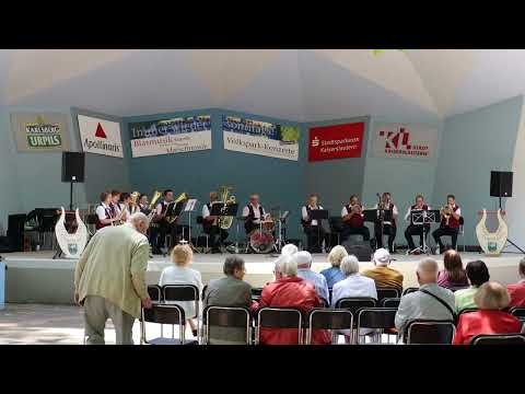 Musikverein Gräfenstein Merzalben - Schwungrad-Polka