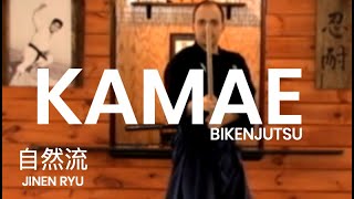 Kenjutsu: Kamae Kihon, Jinen Ryu basic sword postures and intent