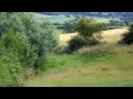 Looking For Rabbits