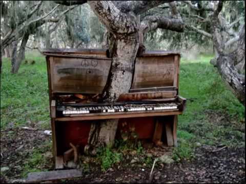 The External World's Theme